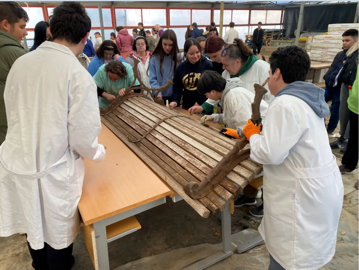 PROYECTO DE APRENDIZAJE Y SERVICIO EN COLABORACIÓN CON AMAFI